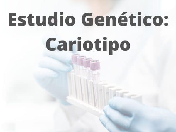 Cariotipo