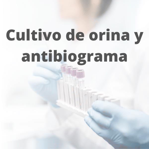 cultivo de orina y antibiograma